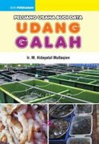 Image of PELUANG USAHA BUDIDAYA UDANG GALAH