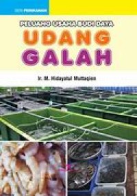 Image of PELUANG USAHA BUDI DAYA UDANG GALAH