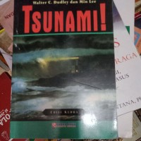 Image of TSUNAMI!